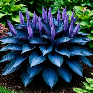 Хоста Сикрет Гров купить по цене от 570р. в интернет-магазине «Посадика» с доставкой почтой в в Дюртюлие и по всей России – [изображение №1].